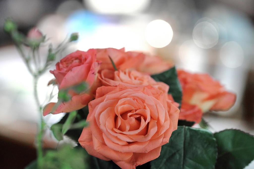 Hotel-Restaurant Roter Ochsen Lauchheim エクステリア 写真