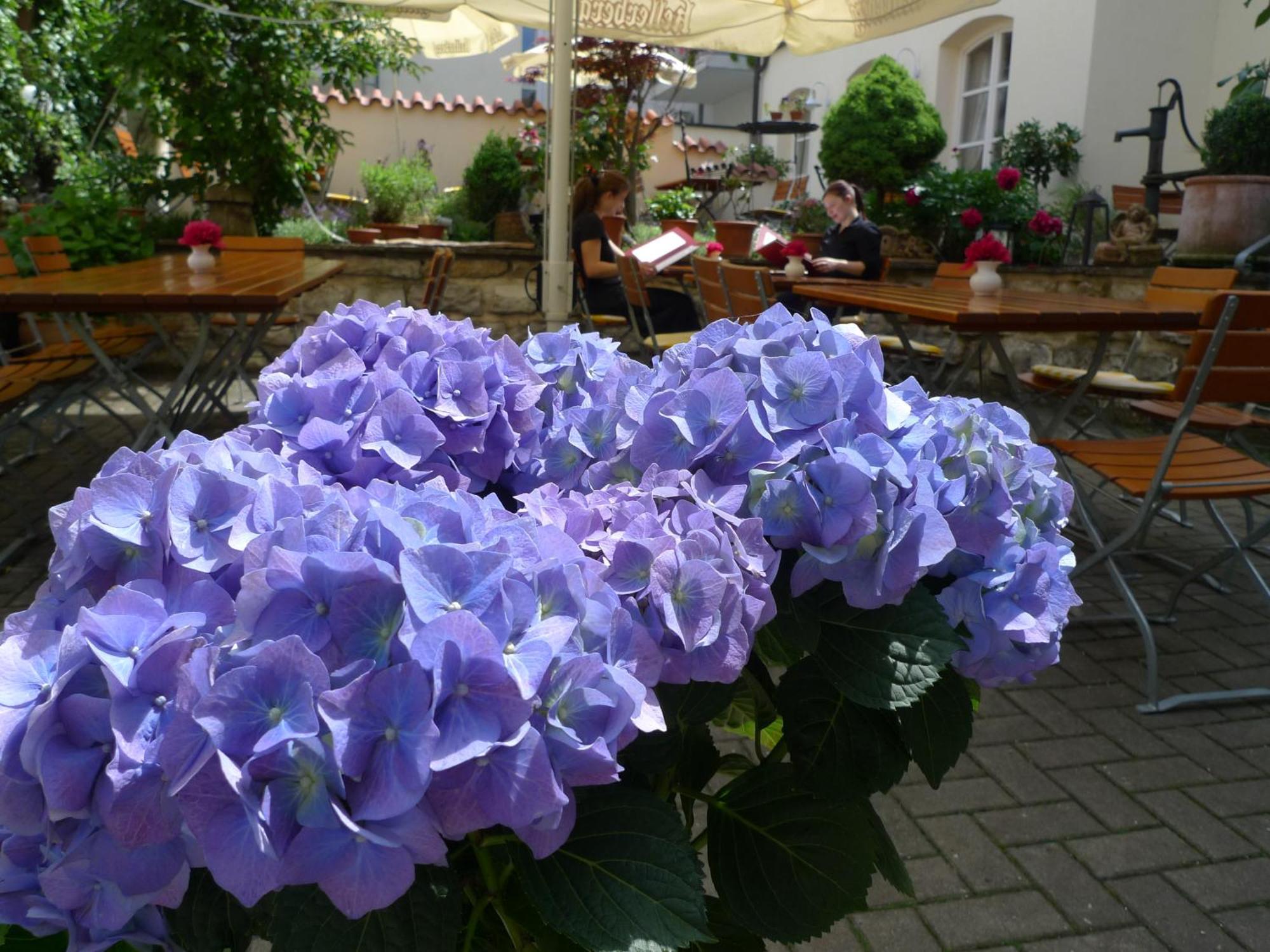 Hotel-Restaurant Roter Ochsen Lauchheim エクステリア 写真